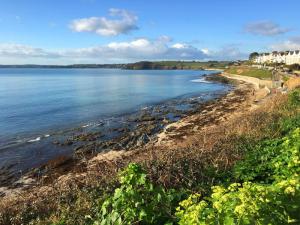 Artist John Dyer takes in the early summer sun in Falmouth John Dyer Gallery