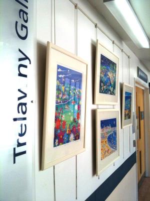 Royal Cornwall Hospital Truro Exhibition of John Dyer and Joanne Short Framed Prints John Dyer Gallery