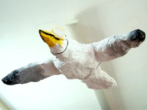 John Dyer Seagulls and the Pirates of Penzance in Hertfordshire ! John Dyer Gallery