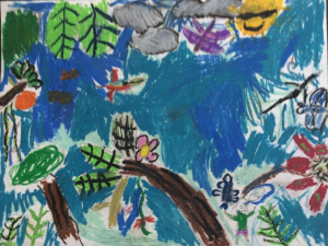 John Dyer inspires rainforest art in the USA