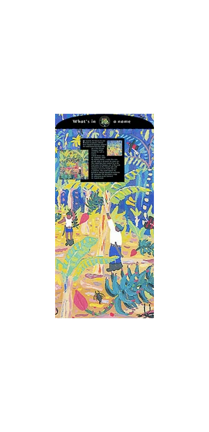 Celebrating banana biodiversity John Dyer Gallery
