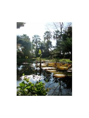 MENTON’S JARDIN EXOTIQUE VAL RAMEH