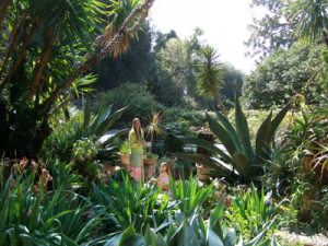 Italian / French Garden Tour and Exhibition