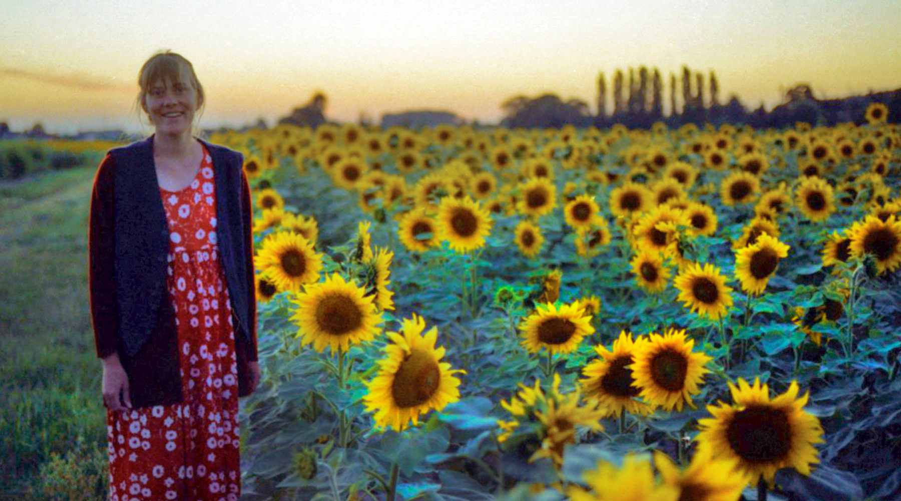Sunflower Power: How Sunflowers by Van Gogh Changed the Art World