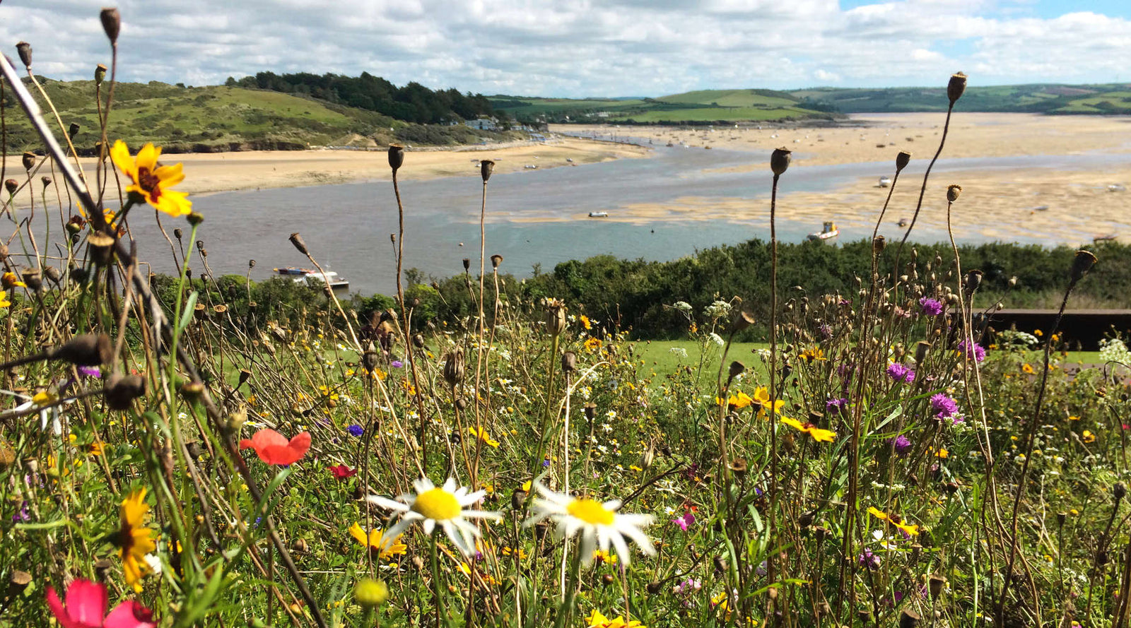 Gallery Spotlight: Padstow, Cornwall and the Paintings of John Dyer and Joanne Short John Dyer Gallery
