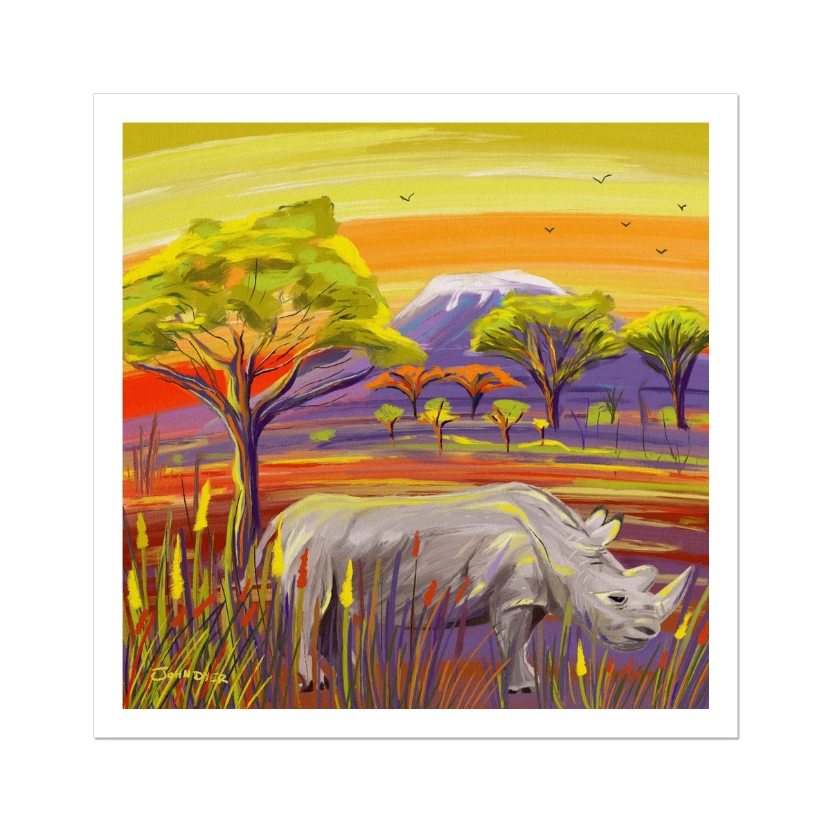 John Dyer African Rhino Open Edition Fine Art Print. Animal Art Prints John Dyer