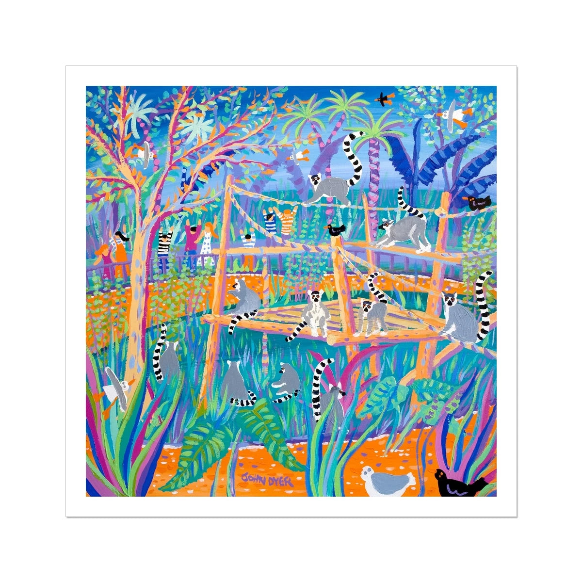 John Dyer Ring Tailed Lemurs, Open Edition Fine Art Print. Animal Art Prints John Dyer