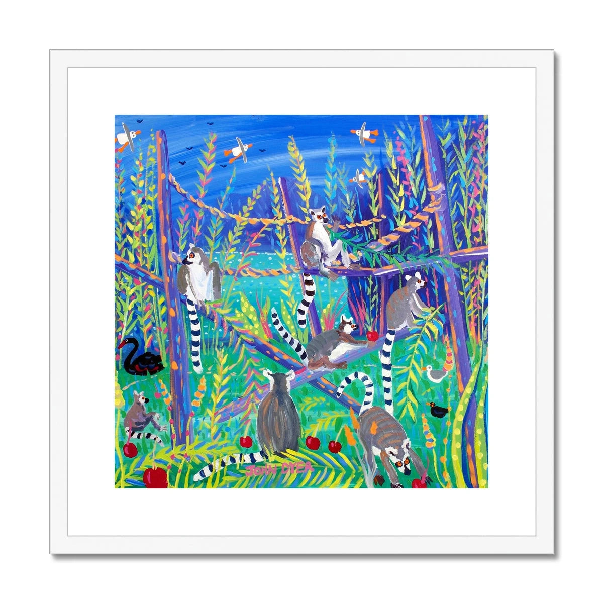 John Dyer Ring Tailed Lemurs eating Cherries. Framed Open Edition Jungle Fine Art Print. Animal Art Prints John Dyer