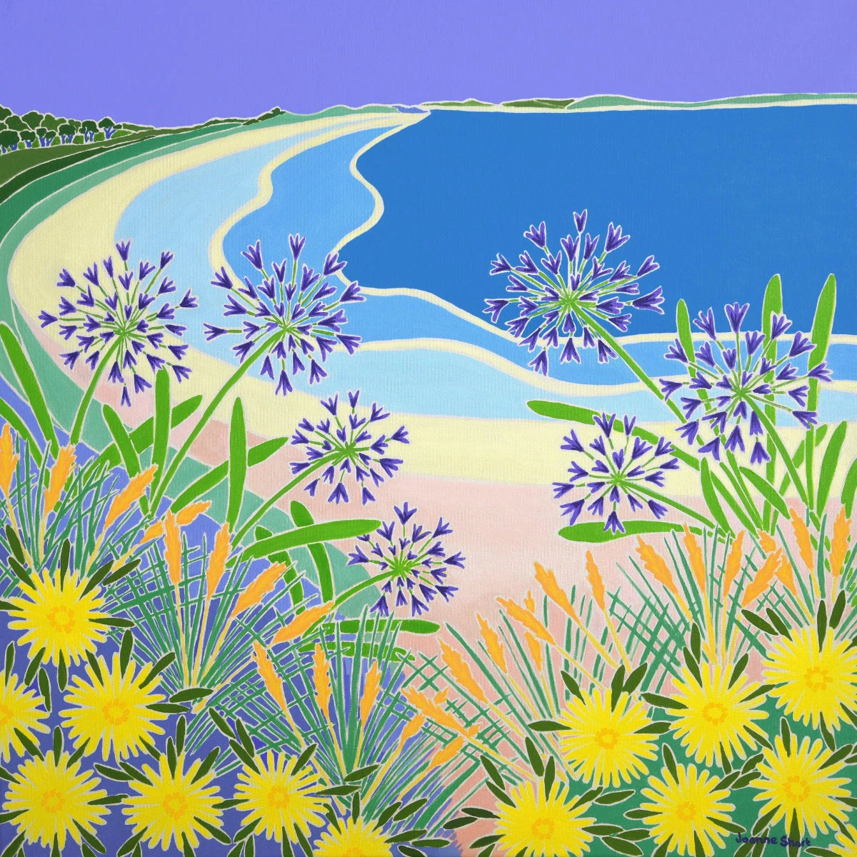 'Looking Through the Agapanthus, Pentle Bay, Tresco', 30x30 inches oil on canvas. Original Painting by Cornish Artist Joanne Short Joanne Short