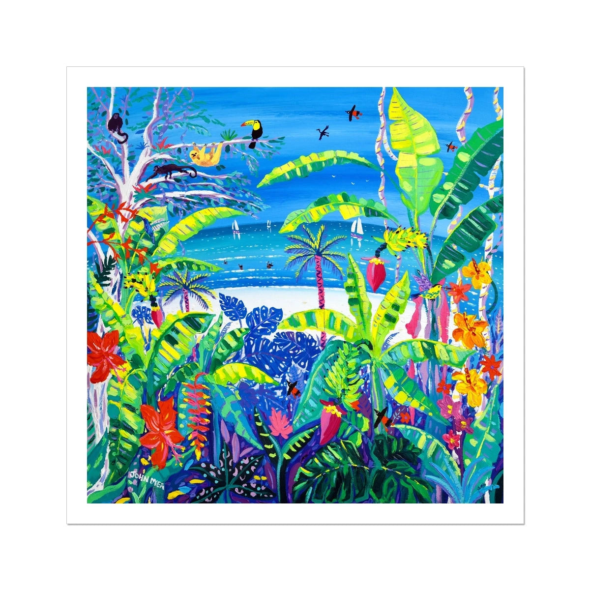 John Dyer Fine Art Caribbean Rainforest Print 'Tropical Banana Wildlife Beach, Costa Rica'. Open Edition Art Print John Dyer
