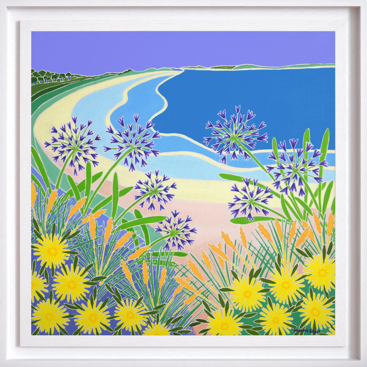 'Looking Through the Agapanthus, Pentle Bay, Tresco', 30x30 inches oil on canvas. Original Painting by Cornish Artist Joanne Short