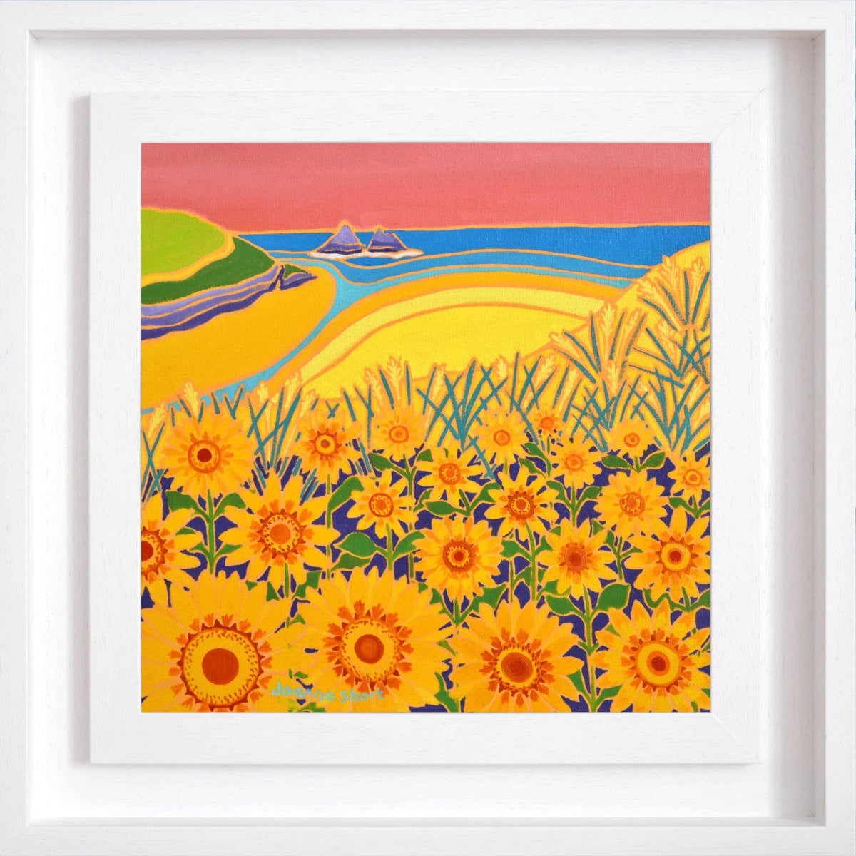'Sweeping Hillside of Sunflowers, Holywell Bay Sunset', 12x12 inches oil on canvas. Cornwall Art Gallery Painting by Cornish Artist Joanne Short