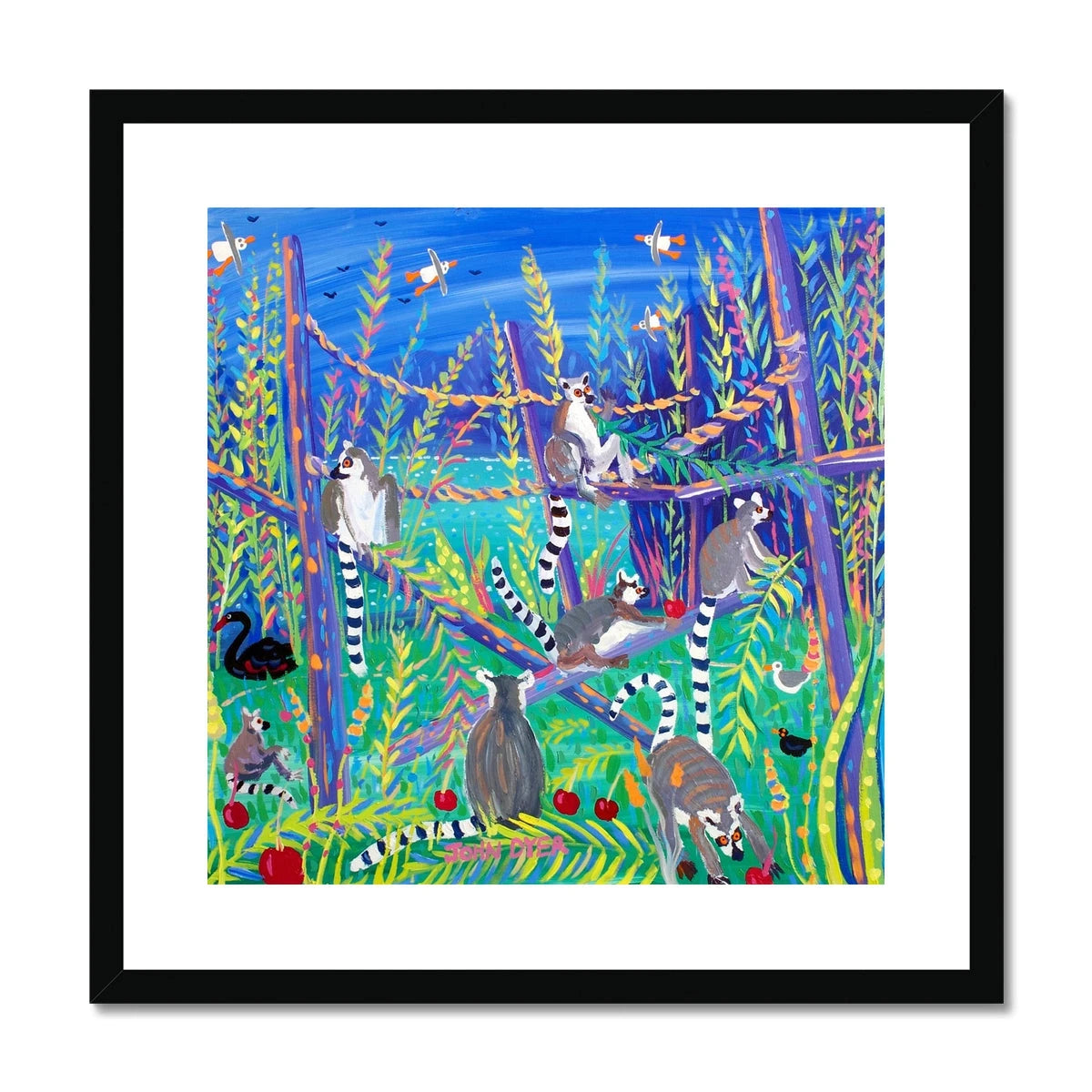 John Dyer Ring Tailed Lemurs eating Cherries. Framed Open Edition Jungle Fine Art Print. Animal Art Prints John Dyer