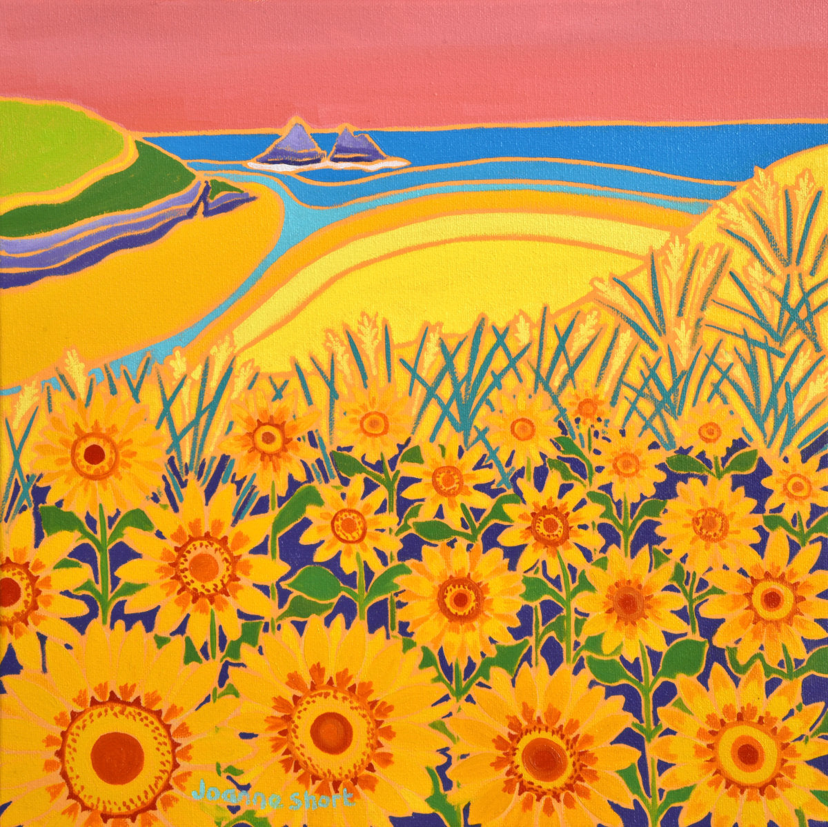 'Sweeping Hillside of Sunflowers, Holywell Bay', 12x12 inches oil on canvas. Cornwall Art Gallery Painting by Cornish Artist Joanne Short