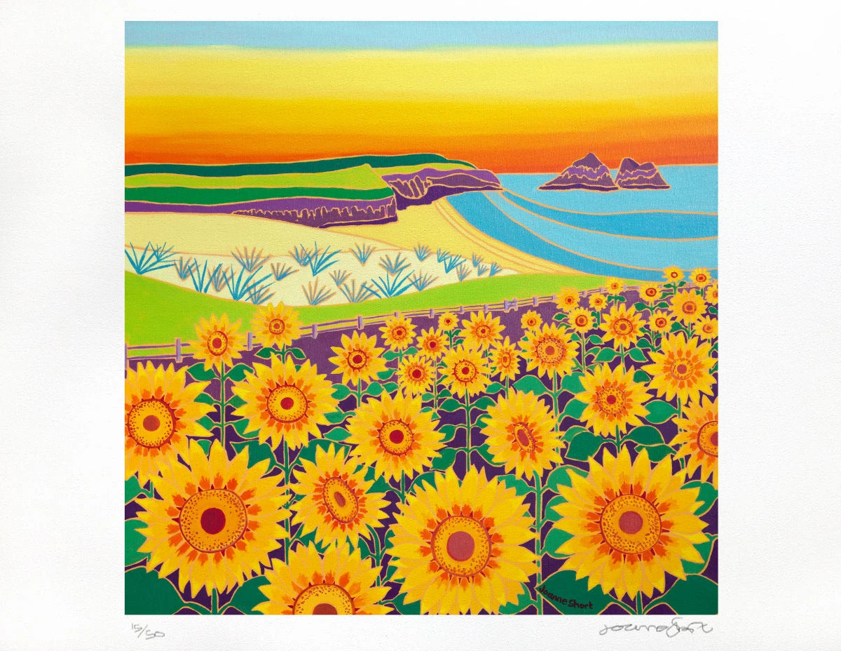 Limited Edition Print by Cornish Artist Joanne Short. 'Sunny Sunflowers, Holywell Bay'. Cornwall Art Gallery Sunset Sunflower Print Joanne Short