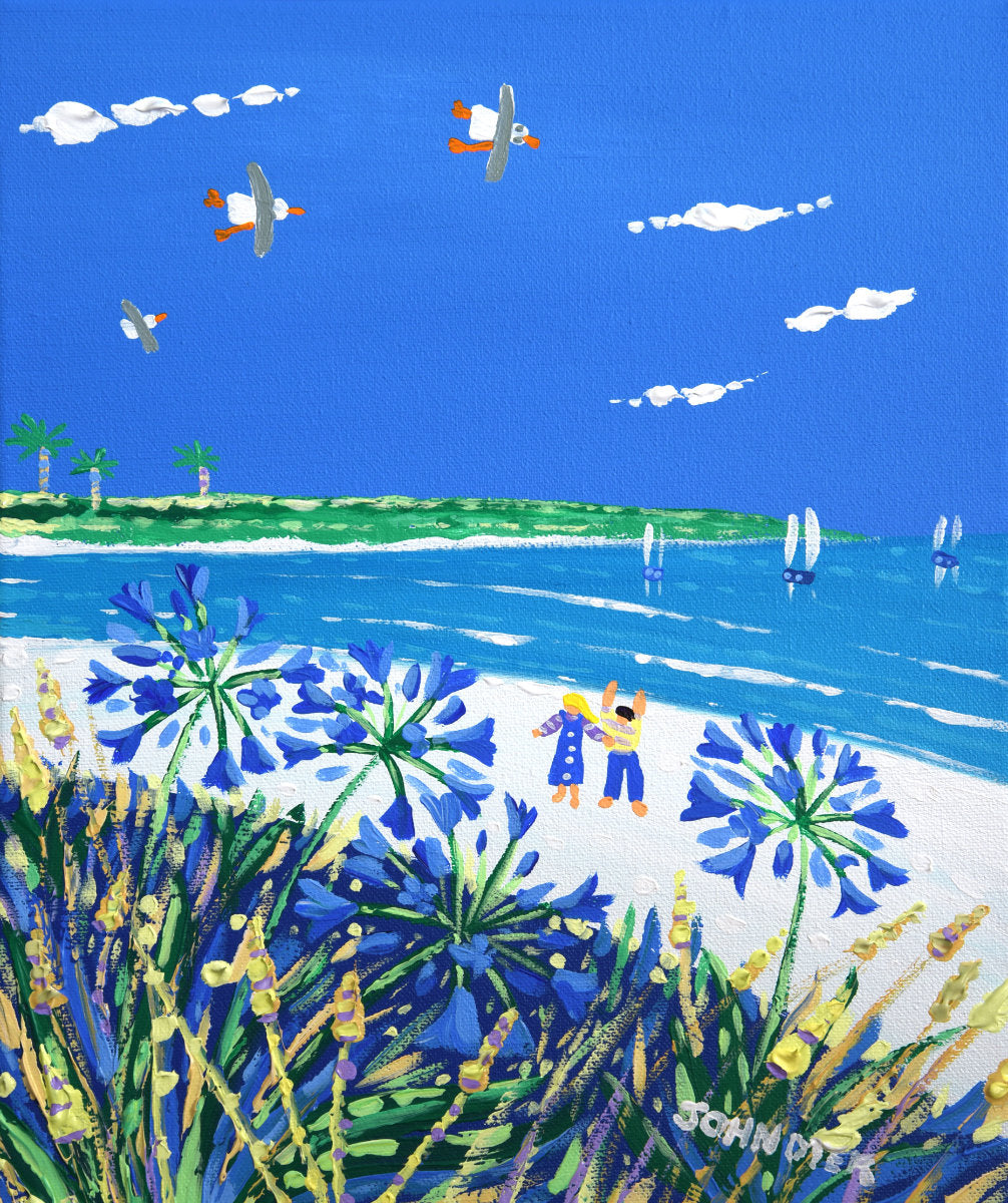 'Summer Agapanthus, Tresco', 10x12 inches acrylic on canvas. Coastal Painting of Cornwall. Cornish Artist John Dyer. Cornwall Art Gallery', 10x12 inches acrylic on canvas. Coastal Painting of Cornwall. Cornish Artist John Dyer. Cornwall Art Gallery John Dyer