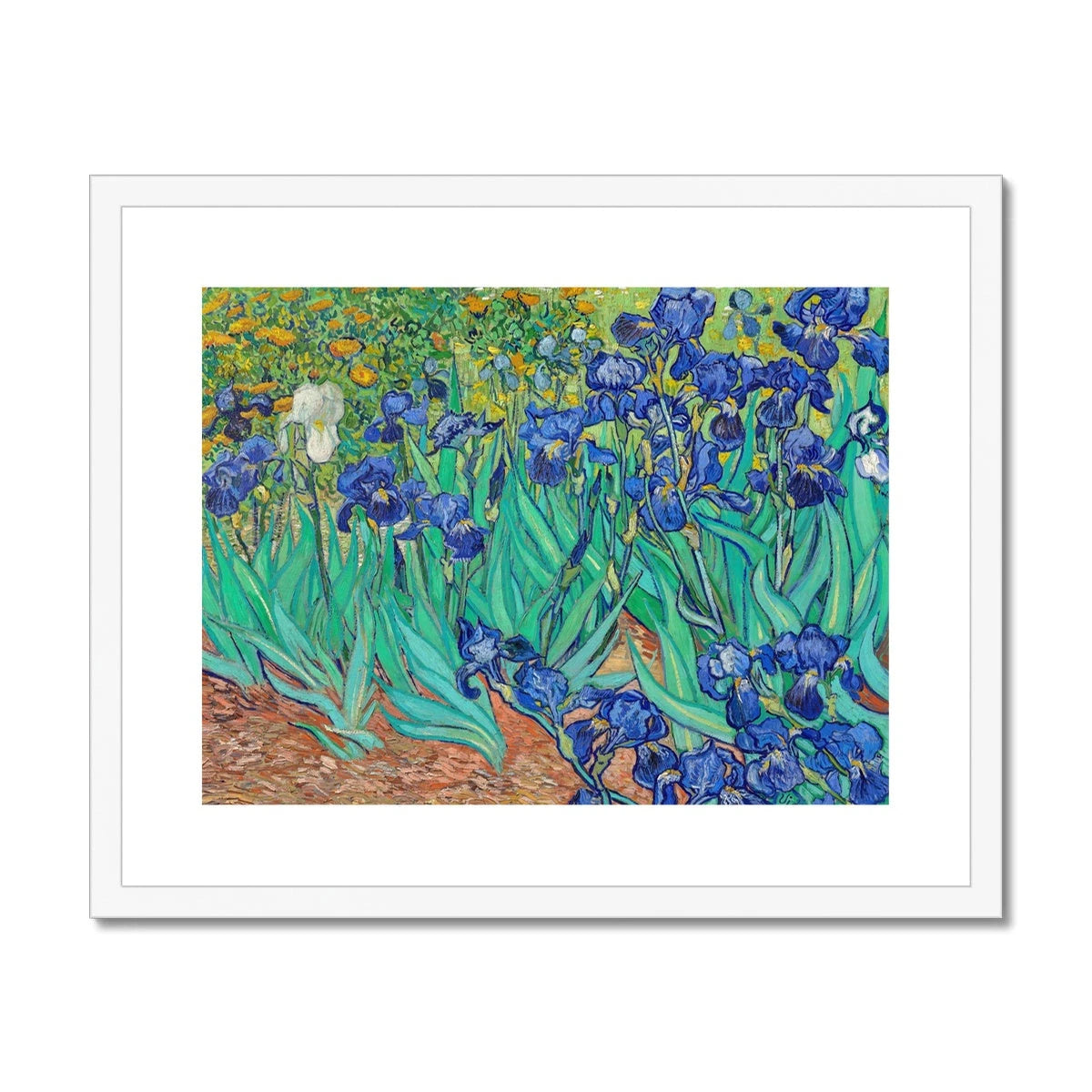 Vincent Van Gogh Framed Open Edition Art Print. 'Irises'. Garden Flowers. Art Gallery Historic Art Vincent Van Gogh
