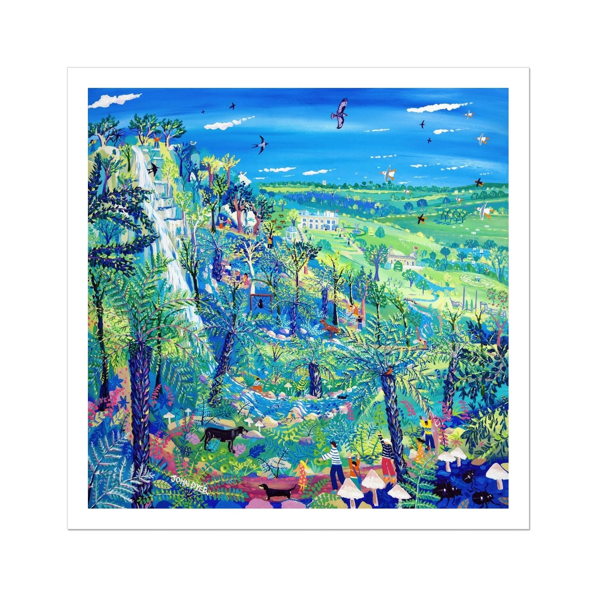 John Dyer Fine Art Print. Open Edition Garden Art Print. 'Exploring Canonteign Falls'. Devon Art Gallery John Dyer