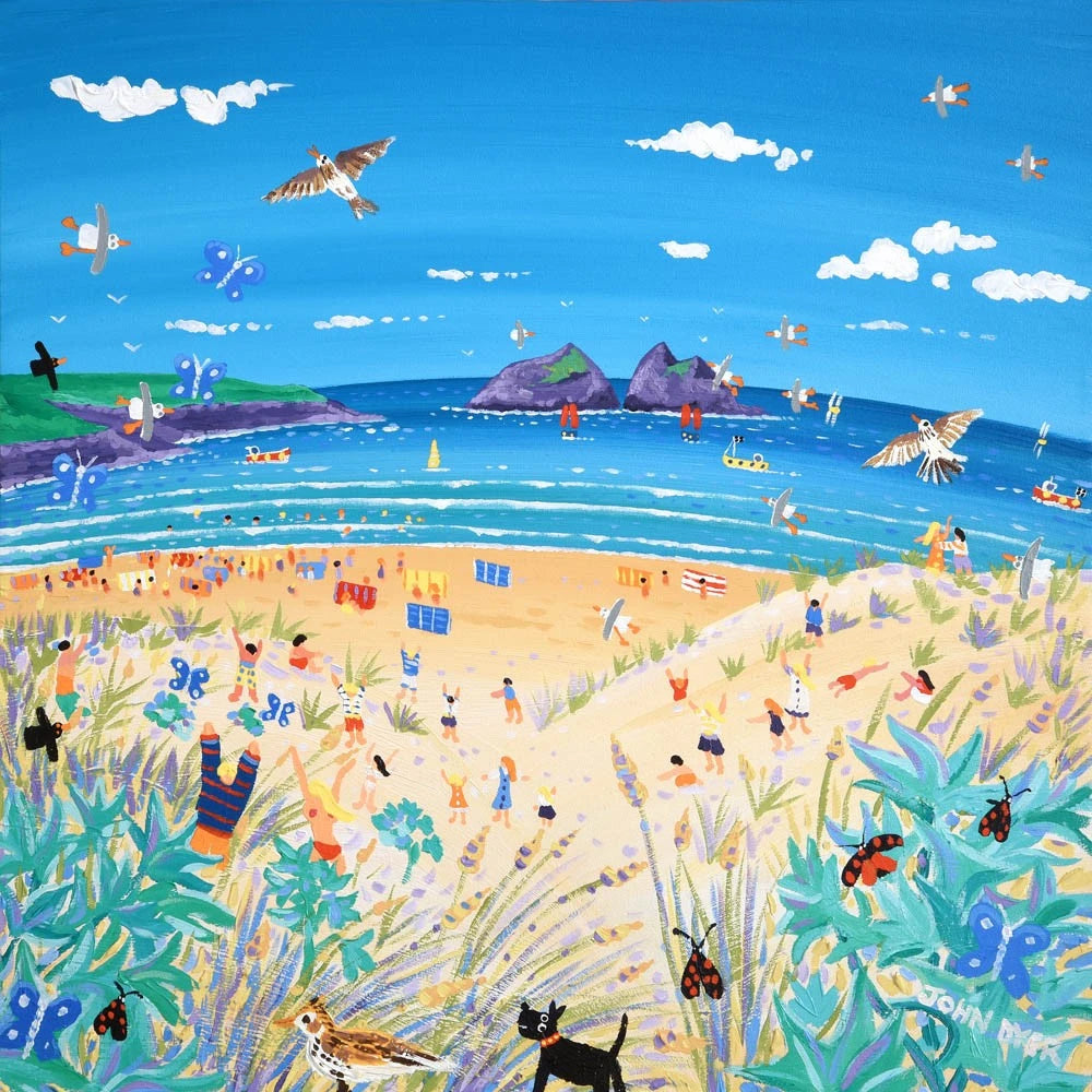 Limited Edition Print by Cornish Artist John Dyer. Sea Holly and Skylarks, Holywell Bay Beach, Cornwall. John Dyer