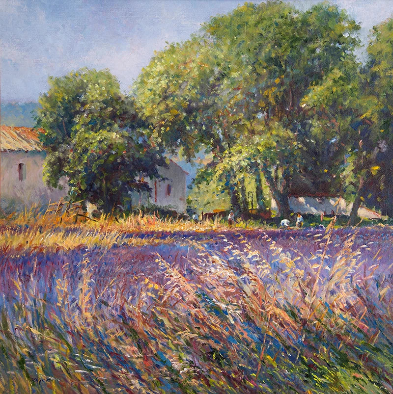 Original Painting by Ted Dyer. Lavender-time, Provence Ted Dyer