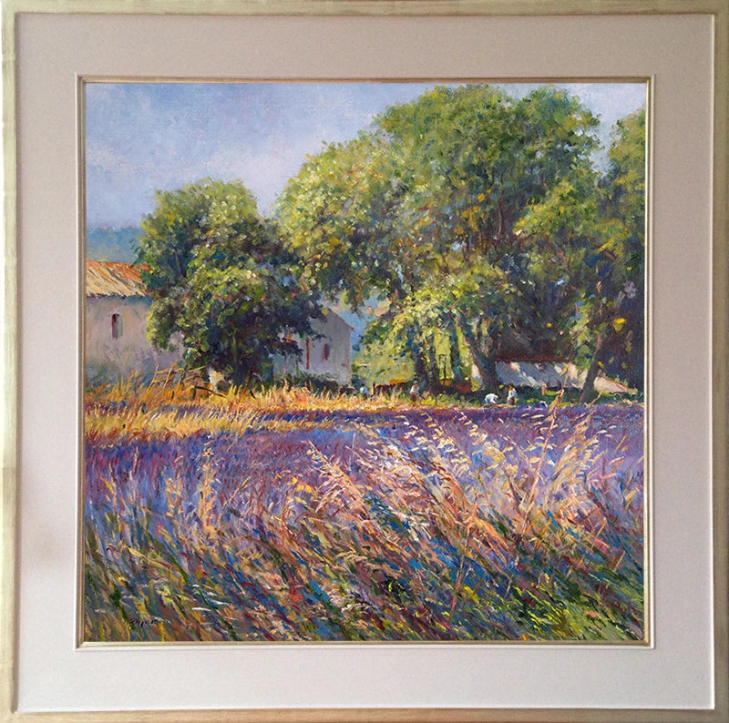 Original Painting by Ted Dyer. Lavender-time, Provence Ted Dyer