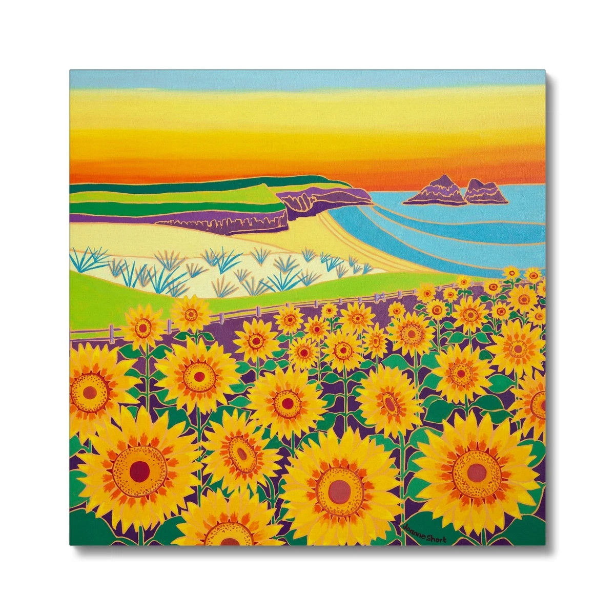 'Sunny Sunflowers, Holywell Bay Beach Sunset', Canvas Art Print by Joanne Short