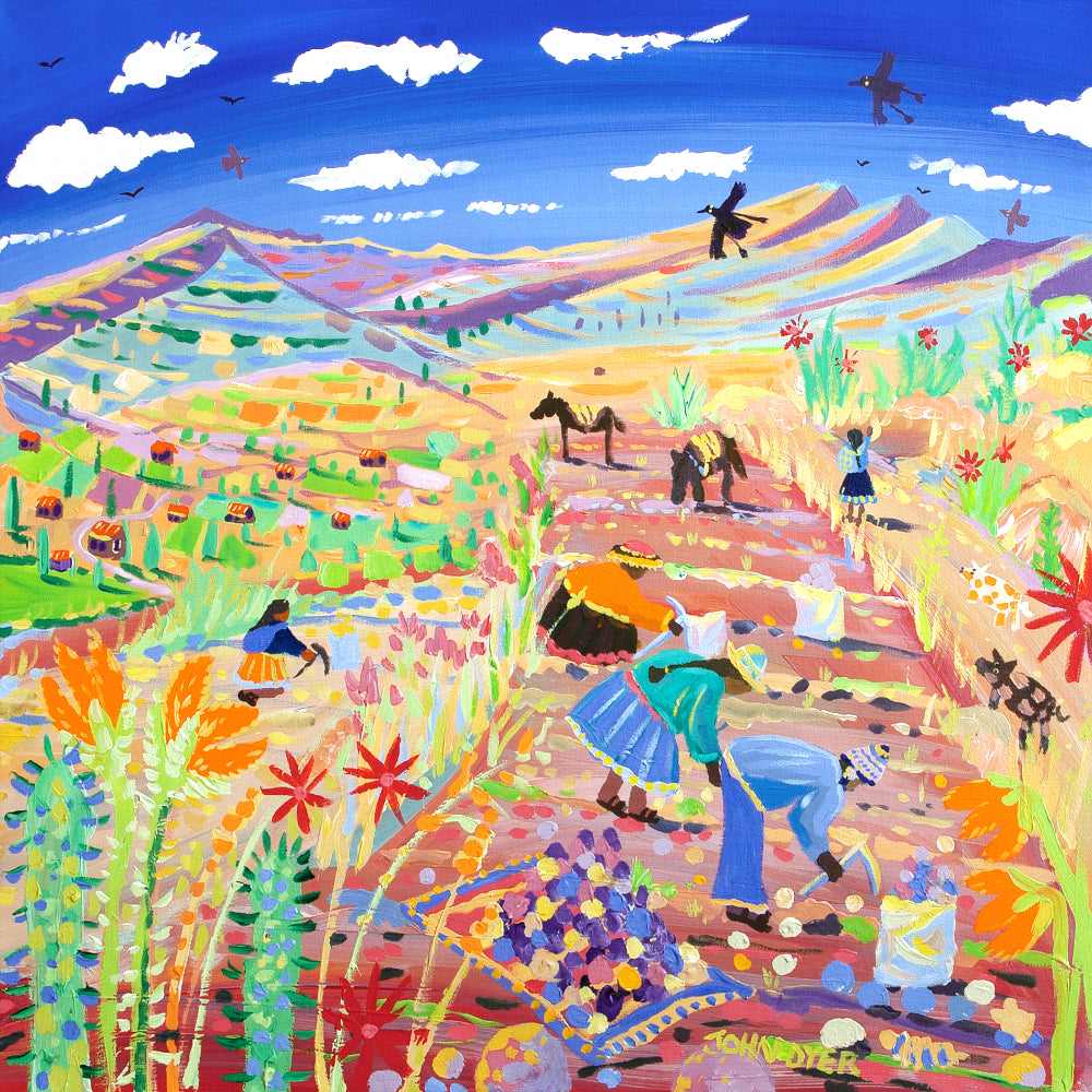 'The Potato Harvest, Amaru, Peru'. 24x24 inches acrylic on canvas. Paintings of Peru by John Dyer from our Online Art Gallery