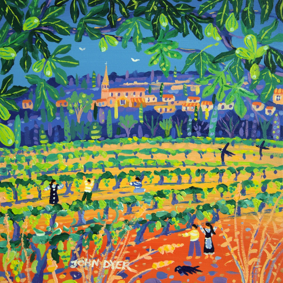 John Dyer Painting. Figs and Grapes under the Hot Sun, Saint-Saturnin-lès-Apt, Provence John Dyer