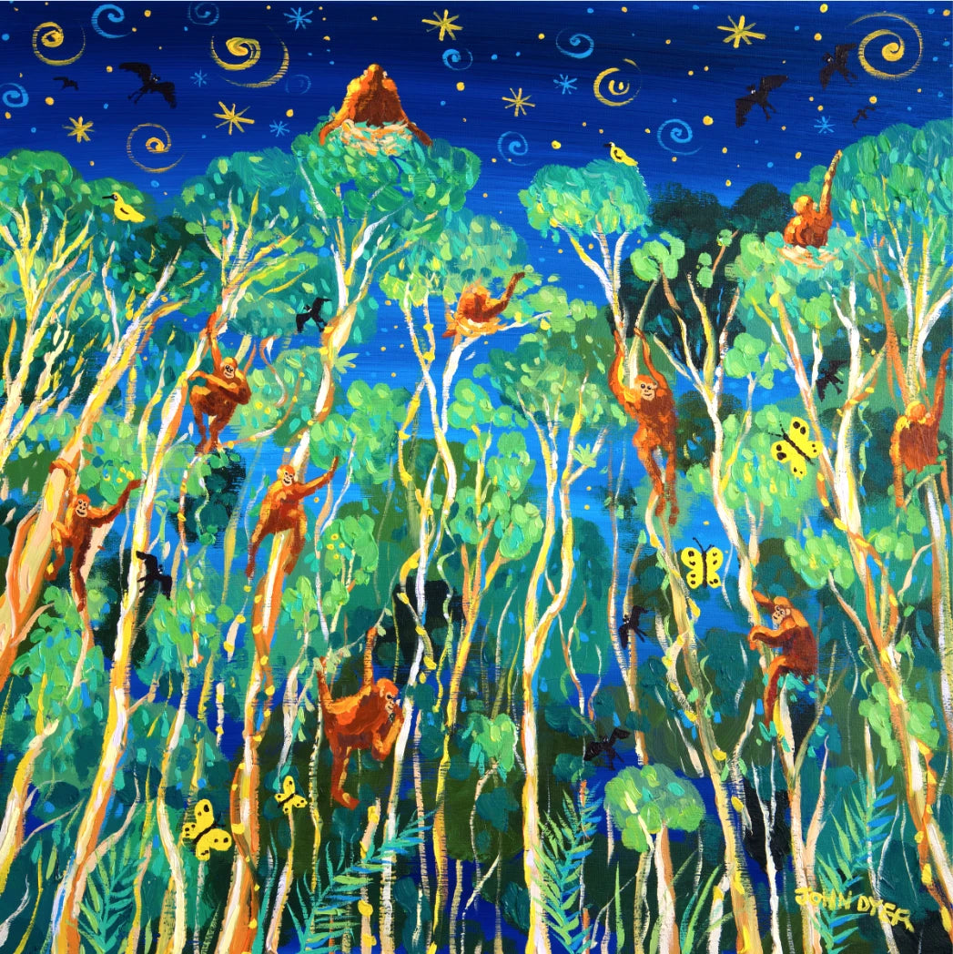 Limited Edition Jungle Print by Environmental Artist John Dyer. 'Twilight Orangutans, Borneo'. Animal Art Prints John Dyer