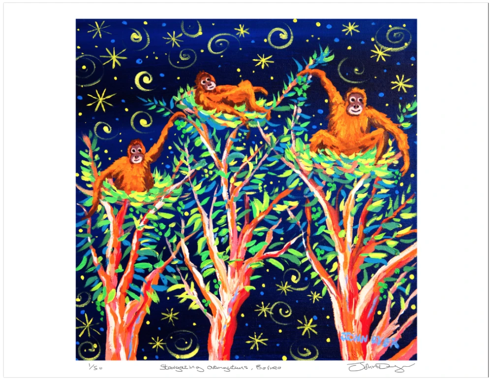 Limited Edition Jungle Print by Environmental Artist John Dyer. 'Stargazing Orangutans, Borneo Rainforest'. Animal Art Prints John Dyer