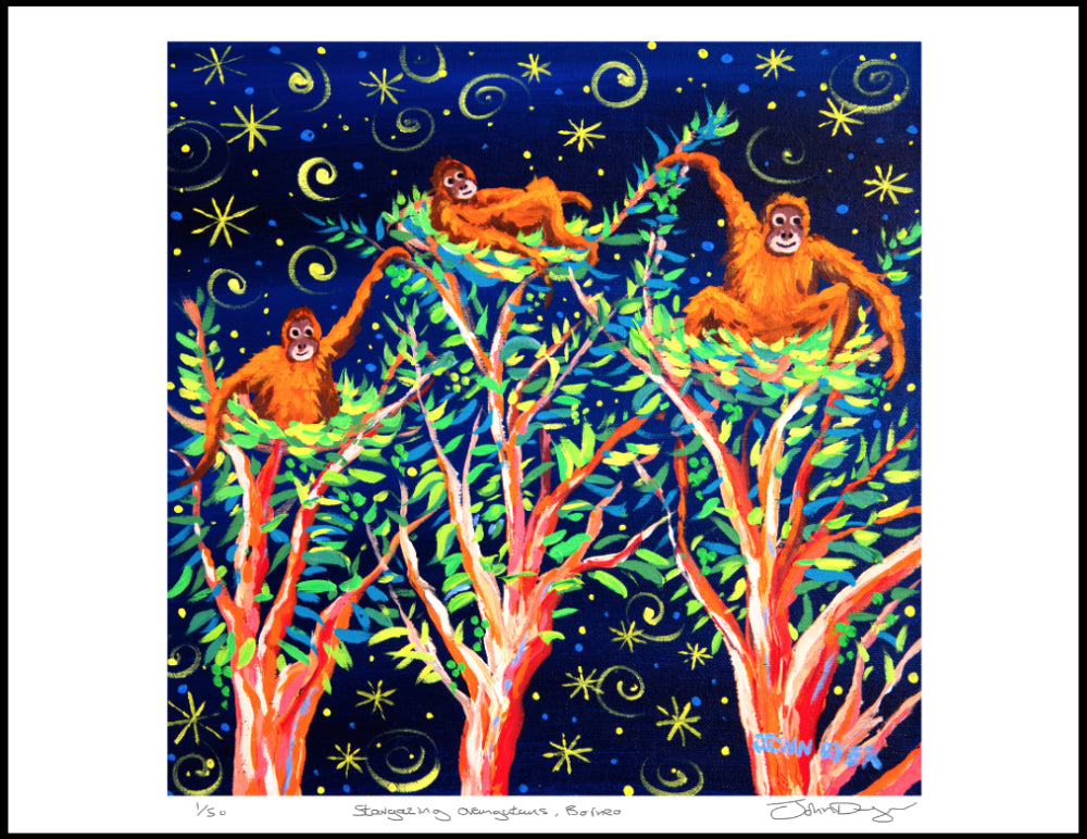 Limited Edition Jungle Print by Environmental Artist John Dyer. 'Stargazing Orangutans, Borneo Rainforest'.