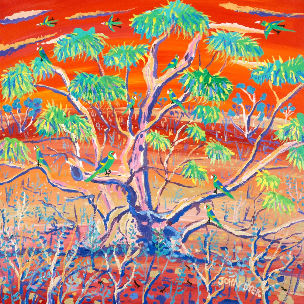 Hot Sunset over the Ancient Mallee Tree, Banrock Station, Australia. Original Painting by John Dyer