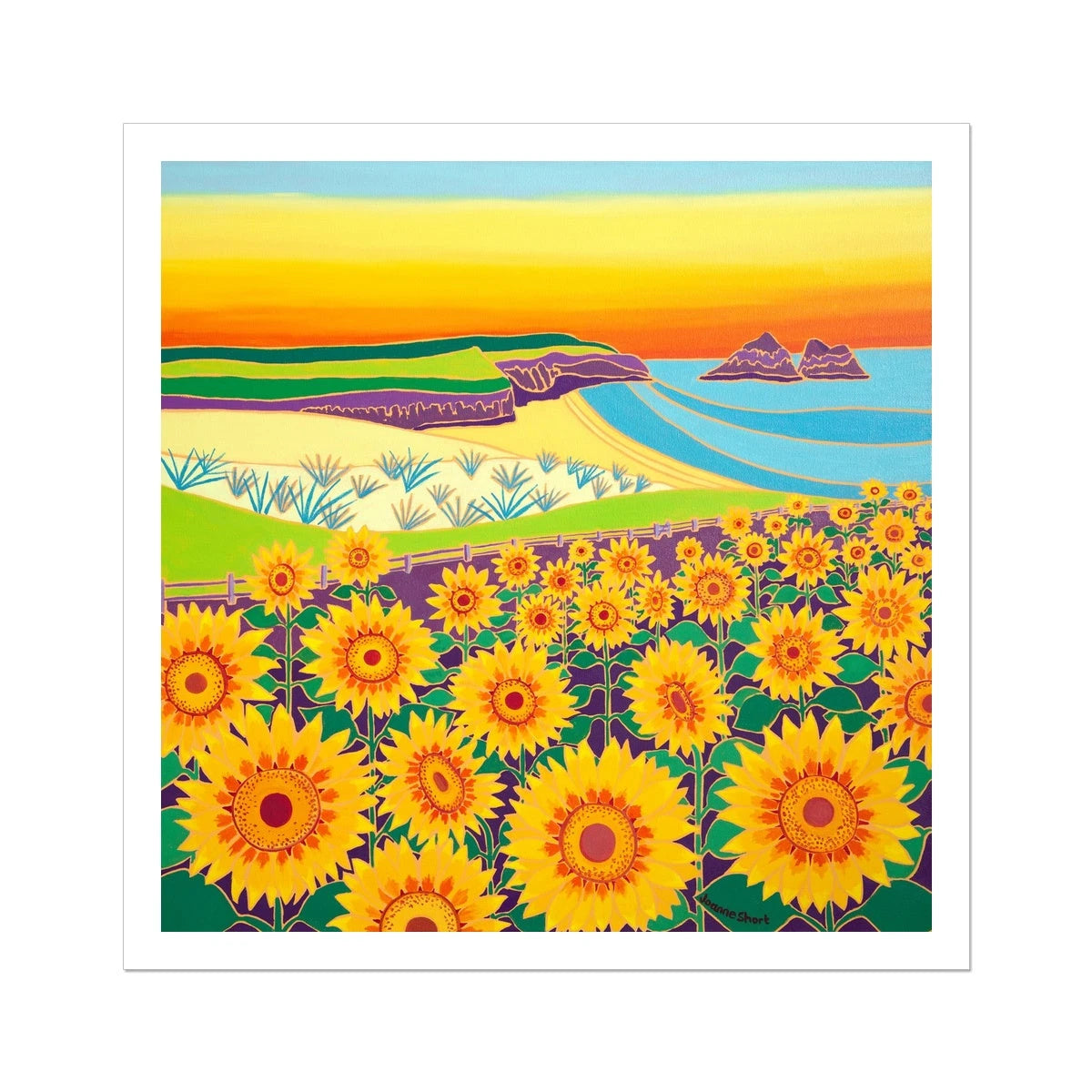 Joanne Short Fine Art Open Edition Cornish Art Print. 'Sunny Sunflowers, Holywell Bay Beach Sunset'. Cornwall Art Gallery Joanne Short