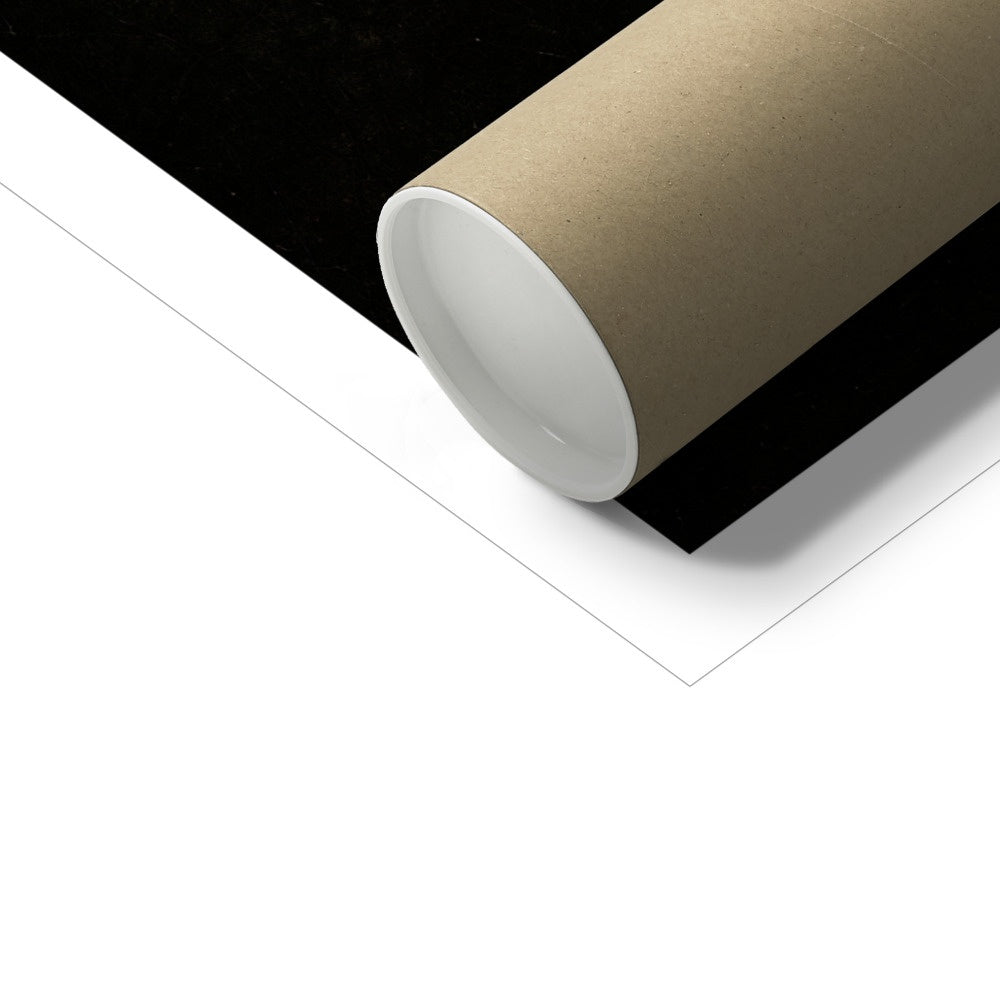 'Girl with a Pearl Earring', by Johannes Vermeer. Open Edition Fine Art Print. Art Gallery Historic Art