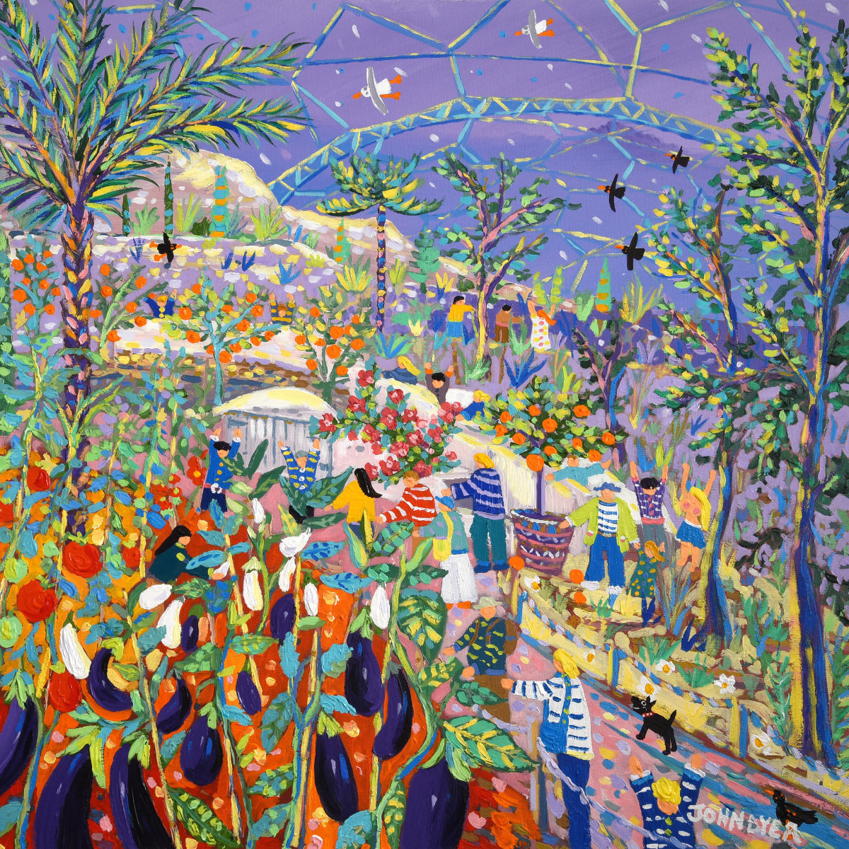 'Mediterranean Colour, Eden Project'. 24x24 inches acrylic on canvas. Garden Paintings of Cornwall by John Dyer from our Cornwall Art Gallery John Dyer