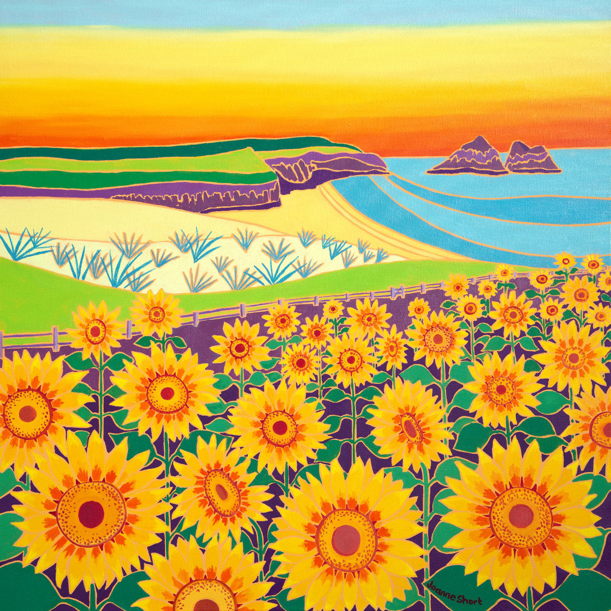 'Sunny Sunflowers, Holywell Bay’. 24x24 inches oil on canvas. Paintings of Cornwall by Cornish Artist Joanne Short from our Cornwall Art Gallery