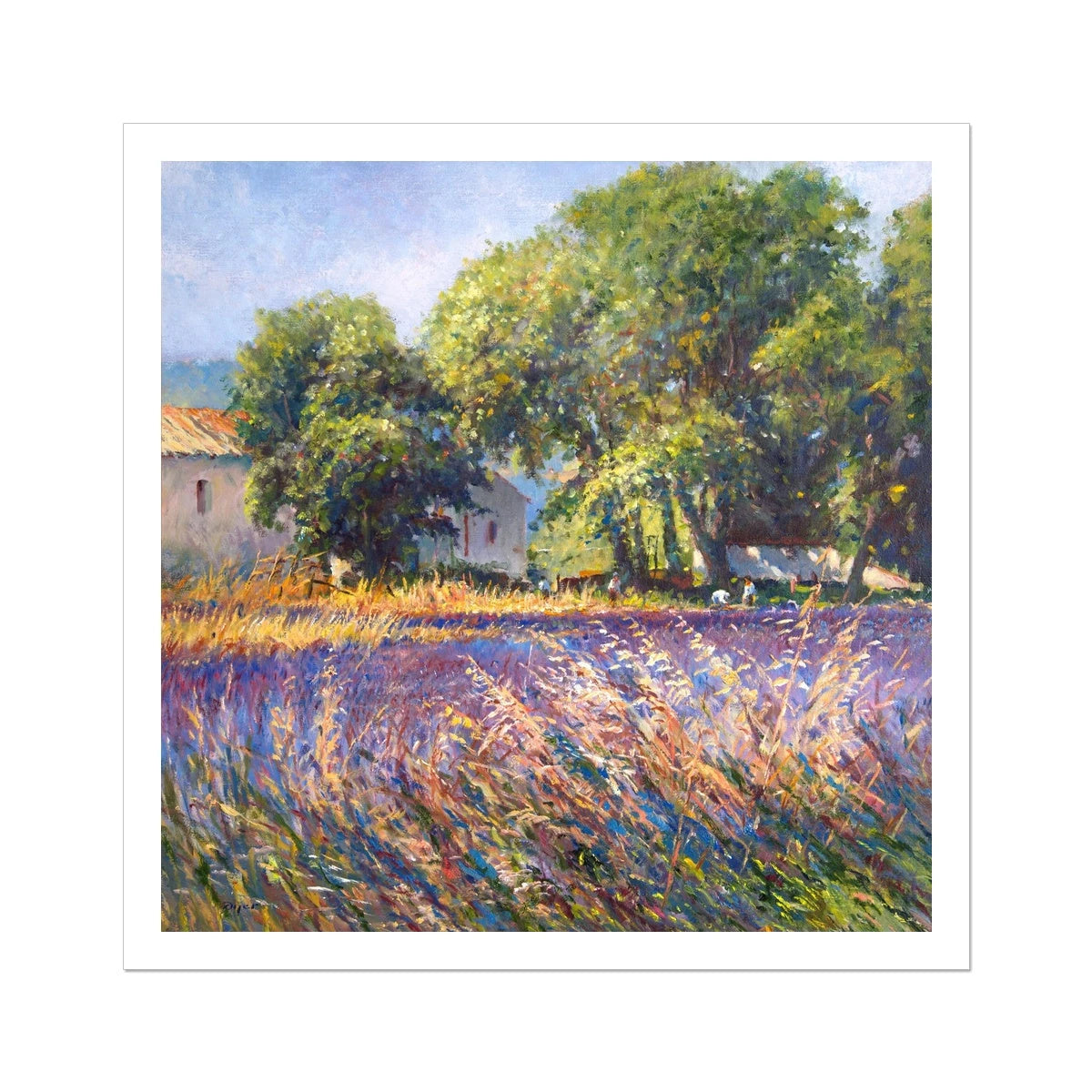 Ted Dyer Fine Art Print. Open Edition French Art Print. 'Lavender Time, Provence'. French Art Gallery Ted Dyer