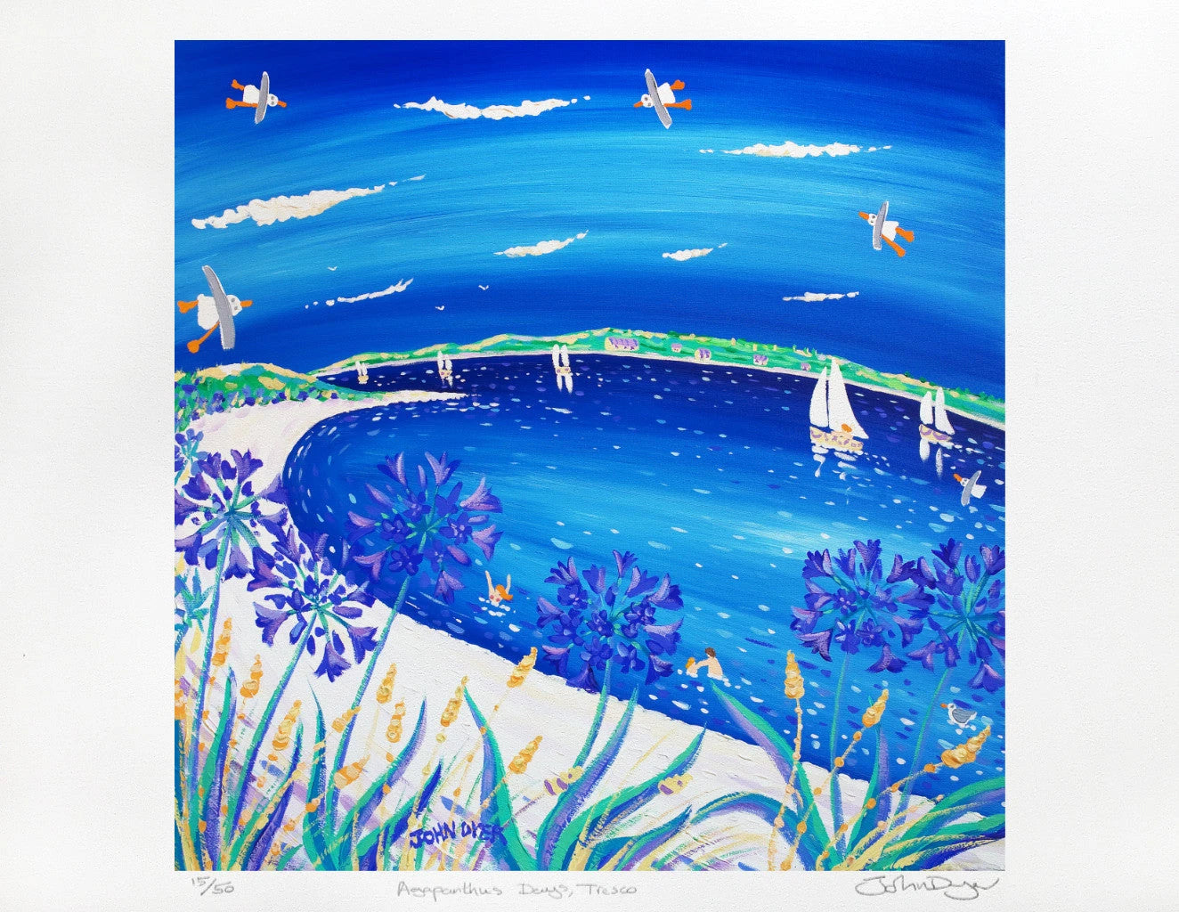 Limited Edition Print of Tresco by Cornish Artist John Dyer. 'Agapanthus Days Tresco'. Cornwall Art Gallery Beach Print John Dyer
