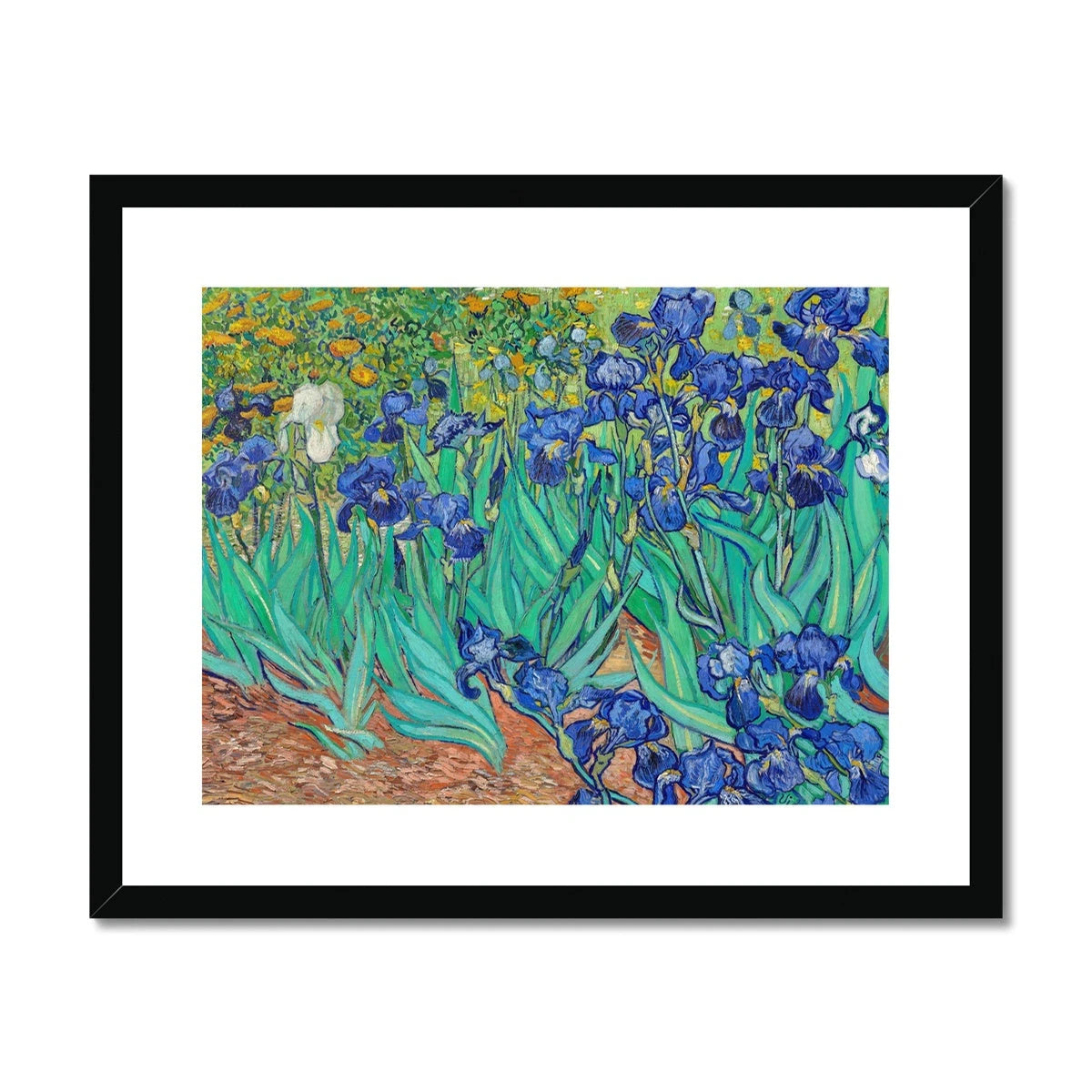 Vincent Van Gogh Framed Open Edition Art Print. 'Irises'. Garden Flowers. Art Gallery Historic Art Vincent Van Gogh