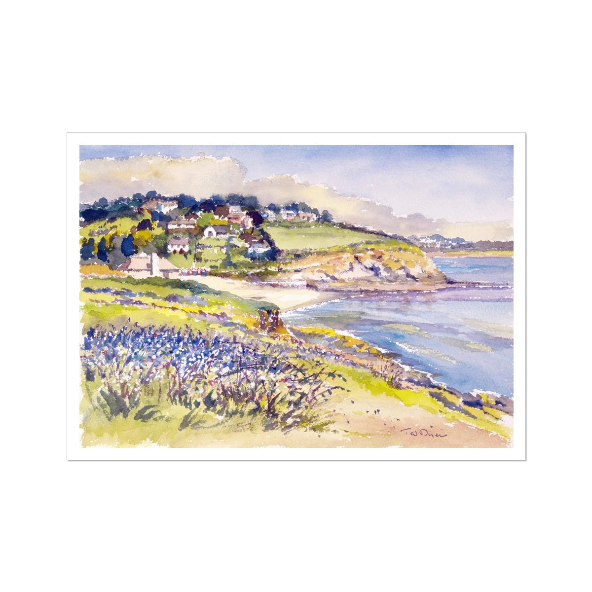 Ted Dyer Fine Art Print. Open Edition Cornish Art Print. 'Bluebells on the Cliff, Swanpool'. Cornwall Art Gallery Ted Dyer