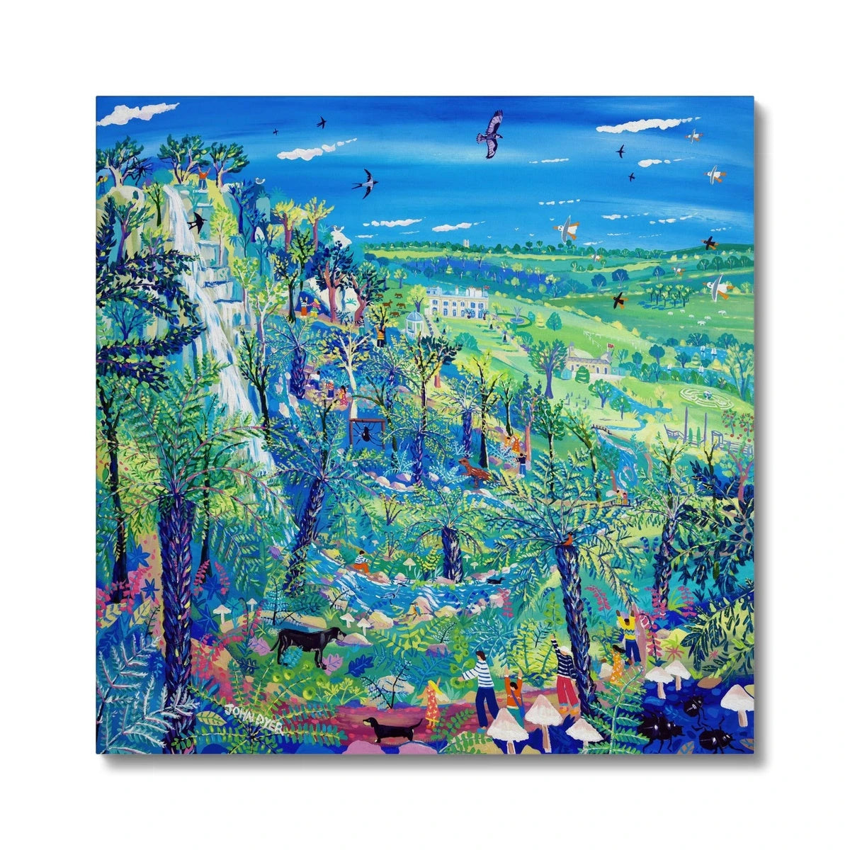 'Exploring Canonteign Falls'. Garden Canvas Art Print of Devon by John Dyer