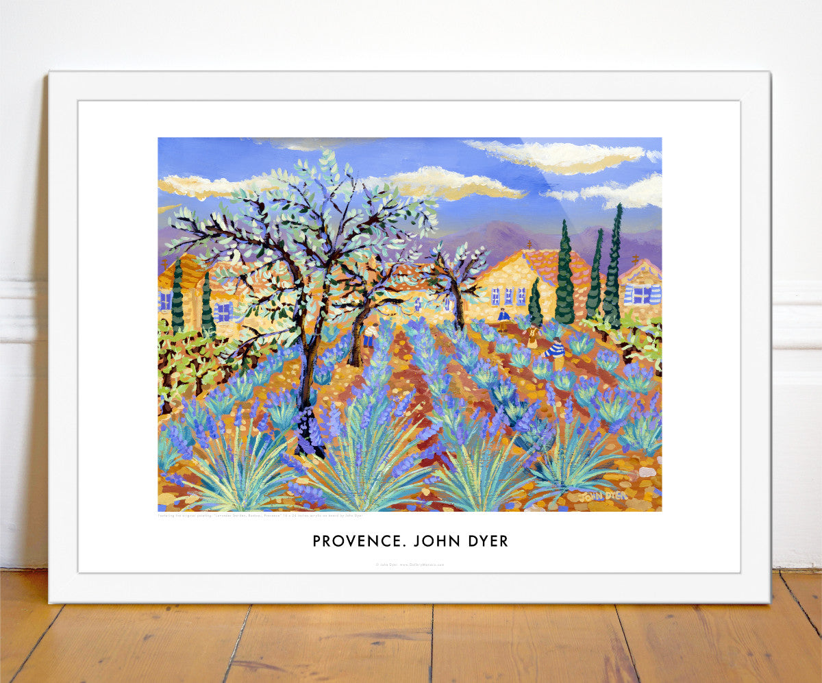 The lavender harvest in Provence is a wonderful sight with lines of blue flowers carpeting the landscape. The classic wall art poster print by artist John Dyer features his painting of the lavender harvest in Rasteau, Provence. Olive trees and pencil pines are feature in the image and the Dentelles de Montmirail mountains can be seen in the far distance.