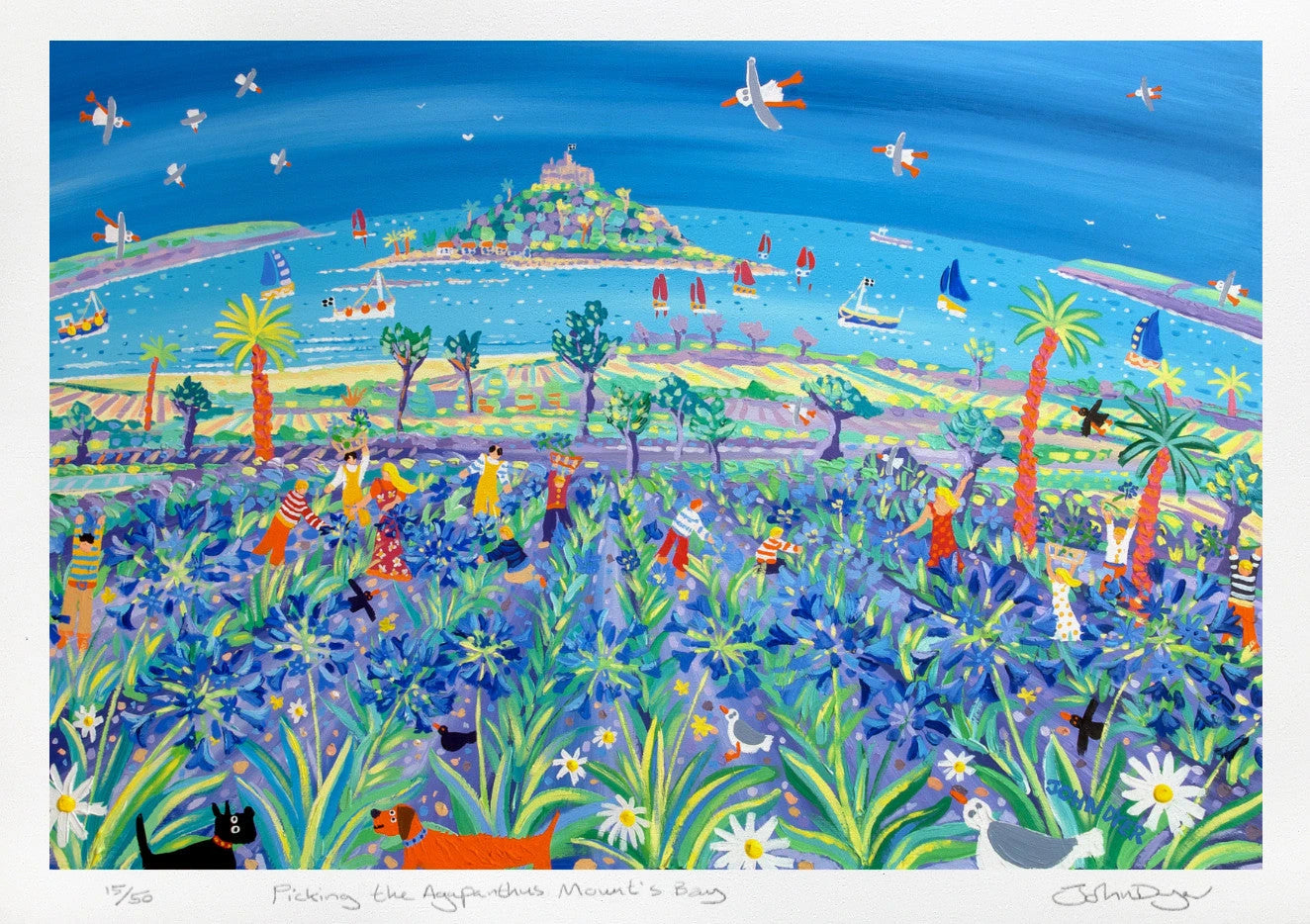 Limited Edition Print by Cornish Artist John Dyer. Picking the Agapanthus Mount's Bay. Cornwall Art Gallery Print. John Dyer