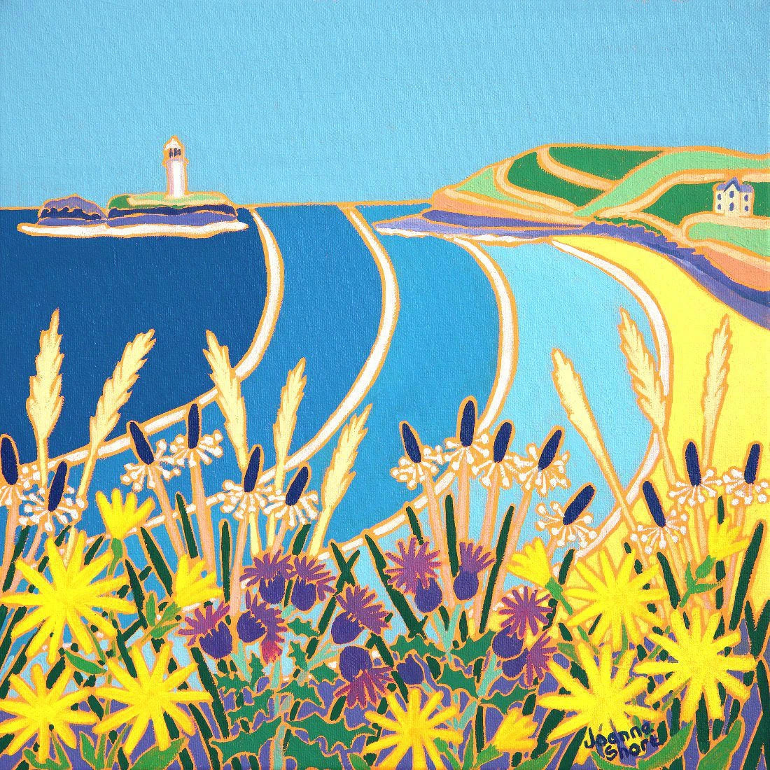 'Wild Flowers on the Cliff, Godrevy'. 12x12 inches oil on canvas. Paintings of Cornwall by Cornish Artist Joanne Short from our Cornwall Art Gallery Joanne Short