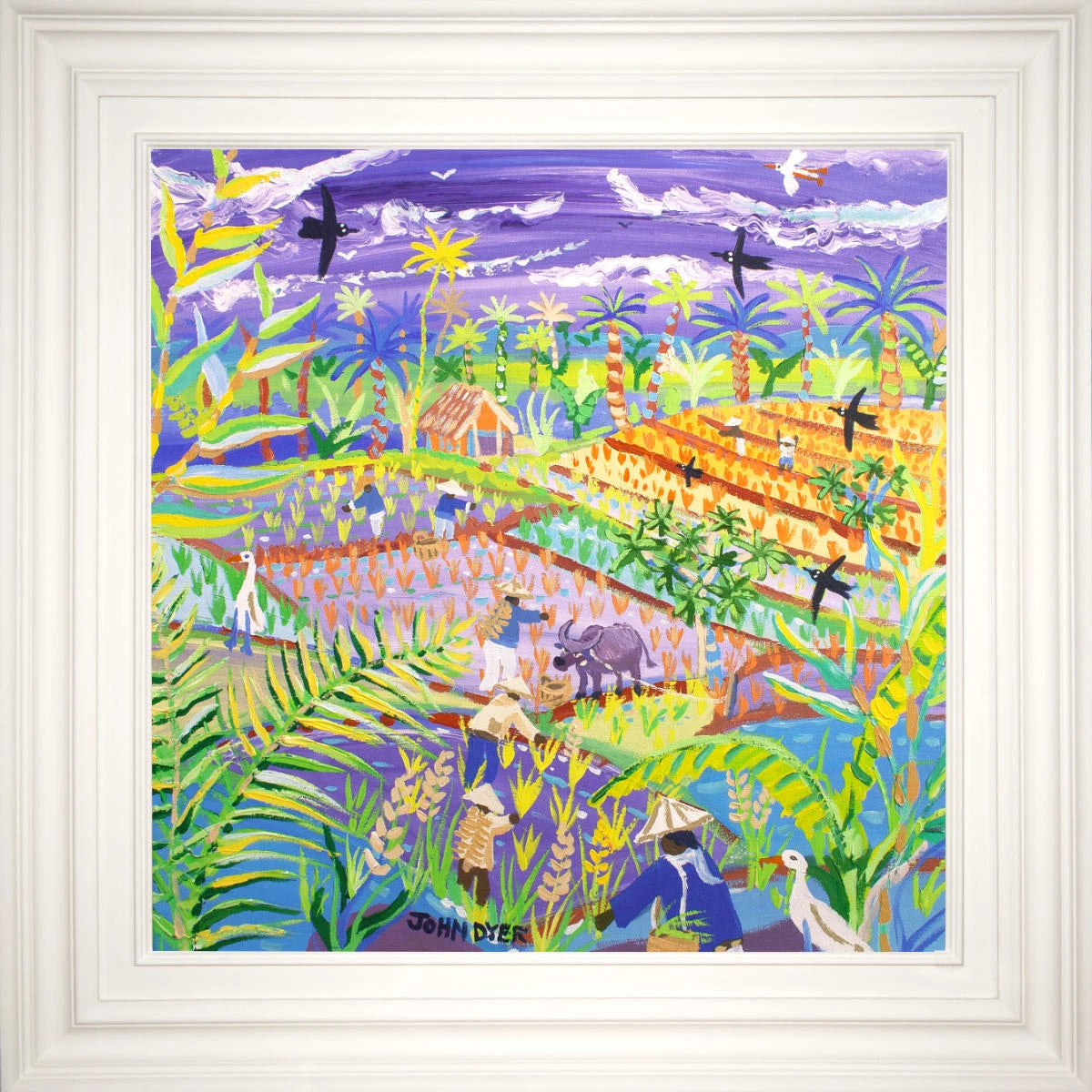 'Water Buffalo and Rice Terraces, the Philippines'. 24x24 inches acrylic on canvas. Paintings of Philippines by John Dyer from our Online Art Gallery John Dyer