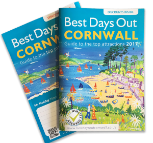 John Dyer painting featured on the Best Days Out Cornwall Guide 2017