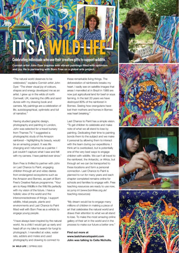 It's a Wild Life - Born Free interview Artist John Dyer John Dyer Gallery