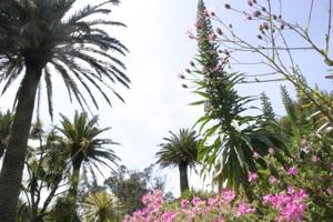 Holidays on Tresco John Dyer Gallery