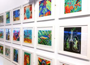 Spirit of the Rainforest Art Exhibition at Eden. Launch Event John Dyer Gallery