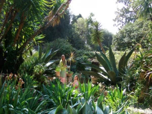 Italian / French Garden Tour and Exhibition John Dyer Gallery